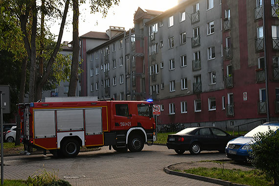 Mieszkanka zadzwonia na stra poarn: Przy Krzywej pali si las!