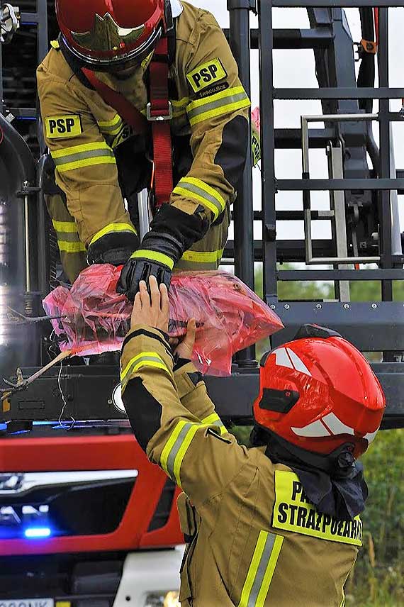 Czapla zapltaa si w yk wdkarsk i zawisa na drzewie. Ptaka uratowali straacy