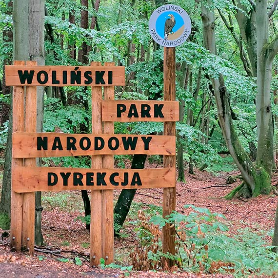 Woliński Park Narodowy wprowadza opłaty za wstęp do Parku. Mieszkańcy gmin, na których znajduje się Park zwolnieni z opłat