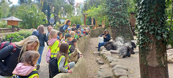 winoujscy uczniowie i seniorzy z wizyt w niemieckim ogrodzie zoologicznym