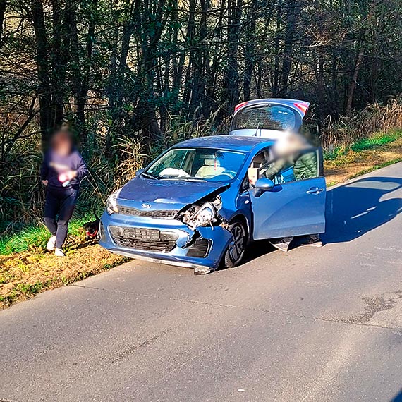 Chwile grozy na Pomorskiej, osobowa Kia kontra duy dzik! Zwierz wybiego na jezdni i uszkodzio auto