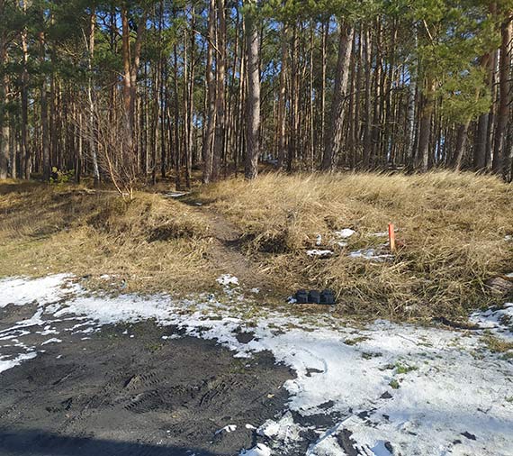 Mieszkaca zaniepokoiy paliki geodezyjne w lasku na Szkolnej. Czy szykuje si tam nowa inwestycja?