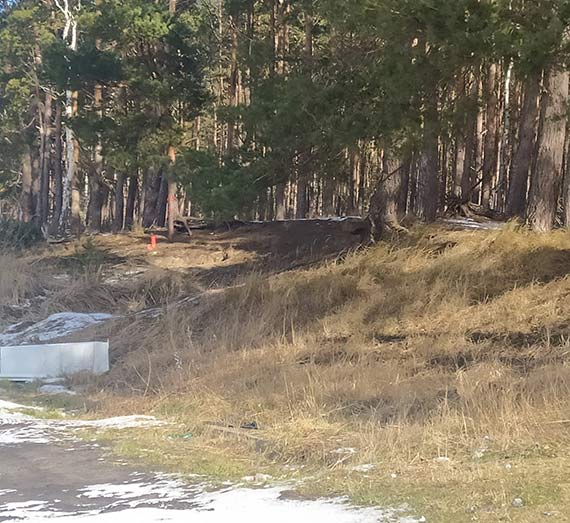 Mieszkaca zaniepokoiy paliki geodezyjne w lasku na Szkolnej. Czy szykuje si tam nowa inwestycja?