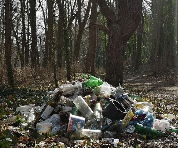 Mieszkanka - Wysypisko śmieci w parku przy Moniuszki