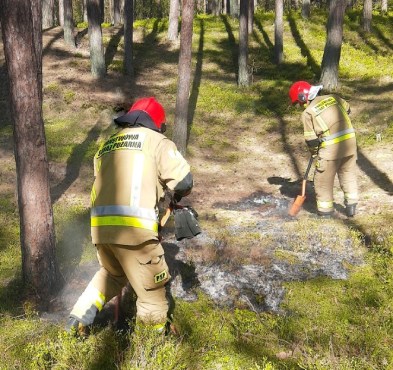 Przy Zamkowej płonął las. Świadkowie pożaru twierdzą, że było to najprawdopodobniej podpalenie!