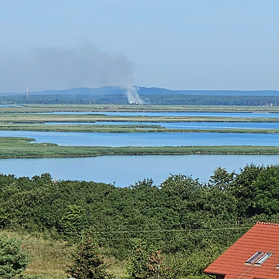 Poar trawy w winoujciu - Skuteczna akcja straakw