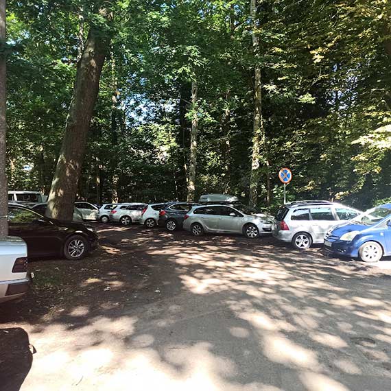 Zaszlimy za daleko: bezprawne parkowanie dewastuje nie tylko Park Zdrojowy! Czy tak ma wyglda miejska polityka parkingowa?