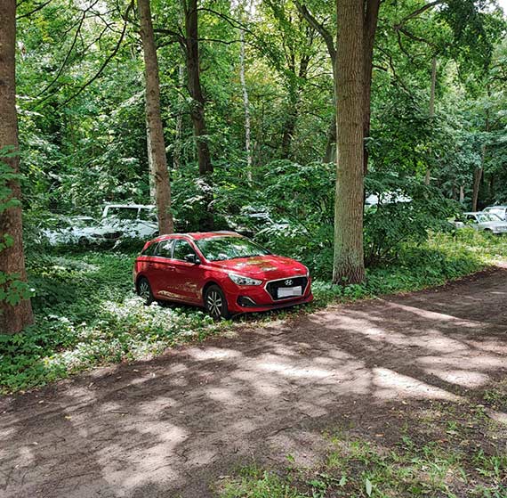 Zaszlimy za daleko: bezprawne parkowanie dewastuje nie tylko Park Zdrojowy! Czy tak ma wyglda miejska polityka parkingowa?