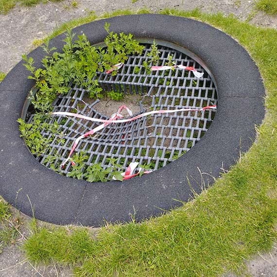 Trampolina na promenadzie zdrowia: odznaczenie i zaniedbania