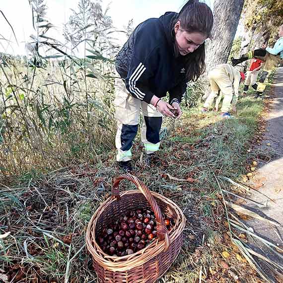 OSP Przytr: Kasztanobranie wrd modych poarnikw