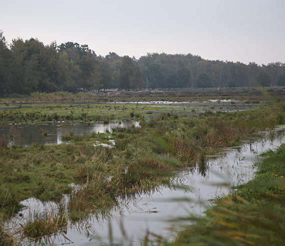 Urzd Miasta: Podtopione tereny za waem w unowie - przyczyn jest...natura