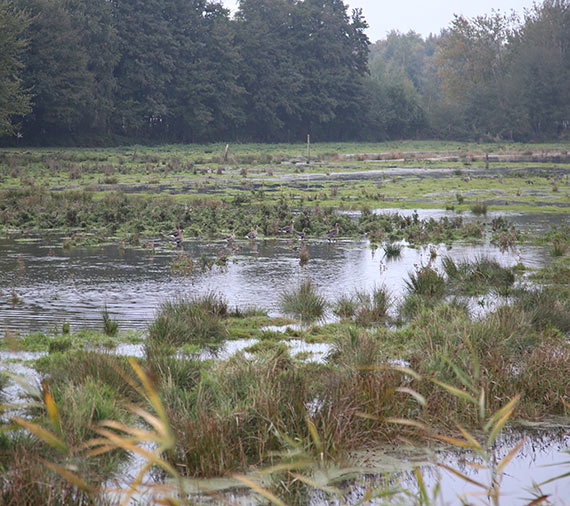 Urzd Miasta: Podtopione tereny za waem w unowie - przyczyn jest...natura