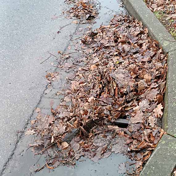 Czyste i bezpieczne wita w winoujciu? Apel Mieszkaca o porzdek w miecie