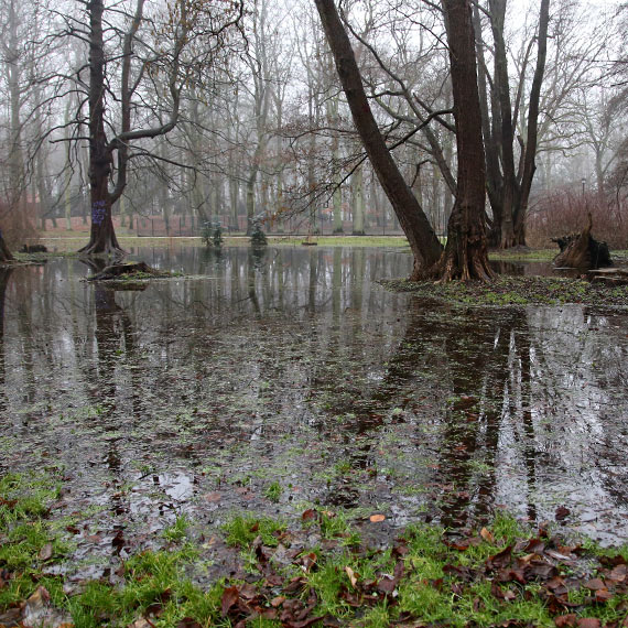 Projekt pod wodą: Dlaczego Park Zdrojowy w Świnoujściu nie wytrzymał deszczu?