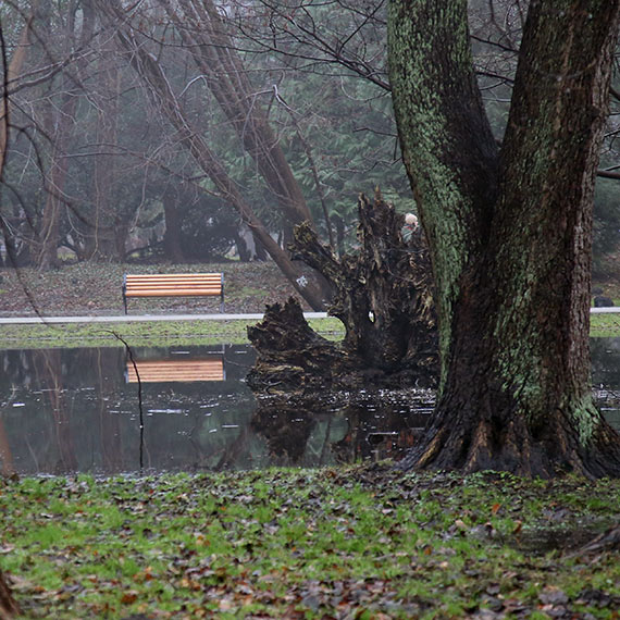 Projekt pod wodą: Dlaczego Park Zdrojowy w Świnoujściu nie wytrzymał deszczu?