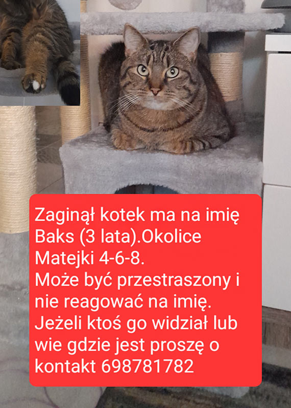 Kto pomoe odnale Baksa?