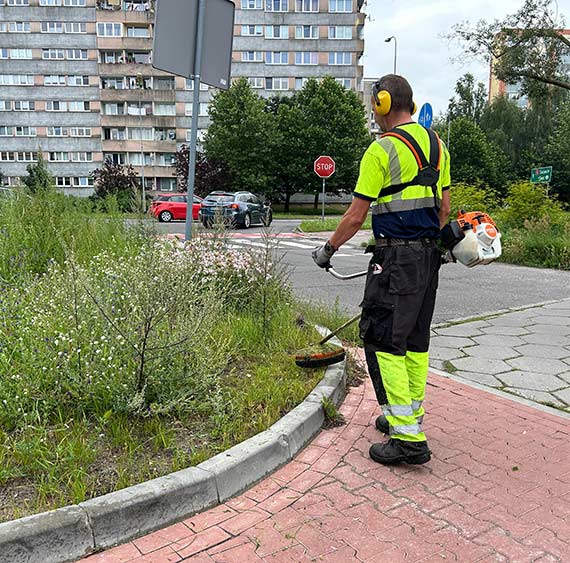 Anida Kostrzewa: Bierzemy si za ziele