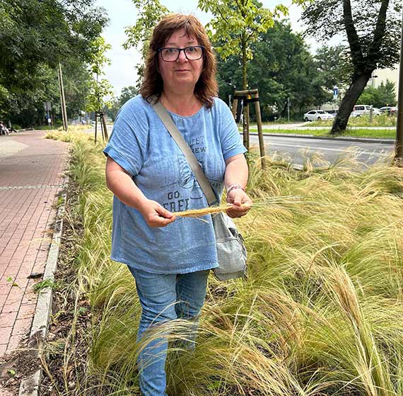 Anida Kostrzewa: Bierzemy si za ziele