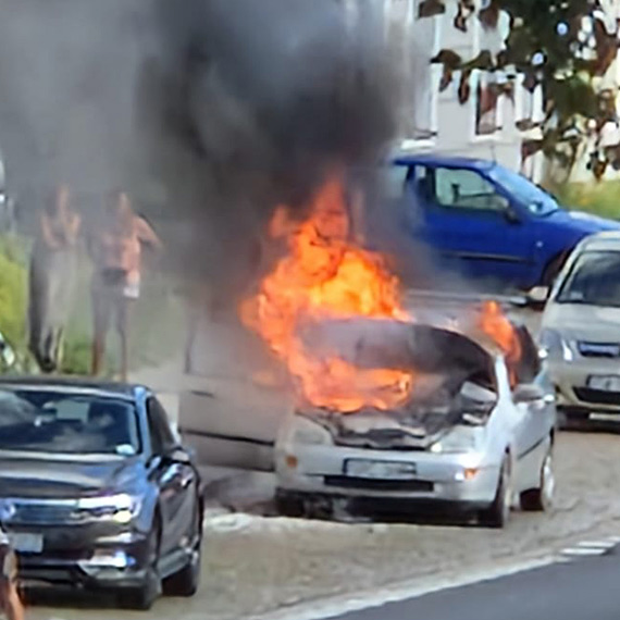 Ford Focus doszcztnie spon