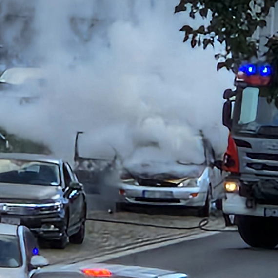 Ford Focus doszcztnie spon