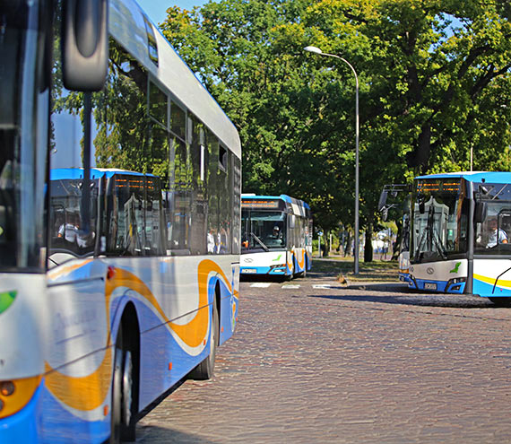 W niedziel jedzimy autobusami za darmo