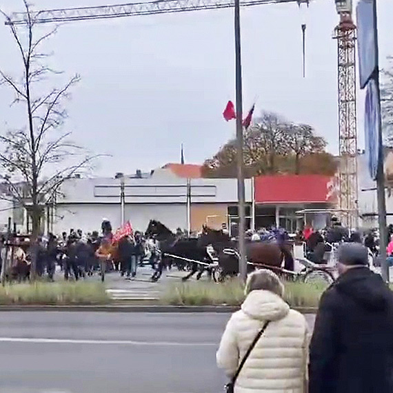 Panika w centrum miasta: Wonica straci kontrol nad koniem przy sanktuarium. Zobacz film!