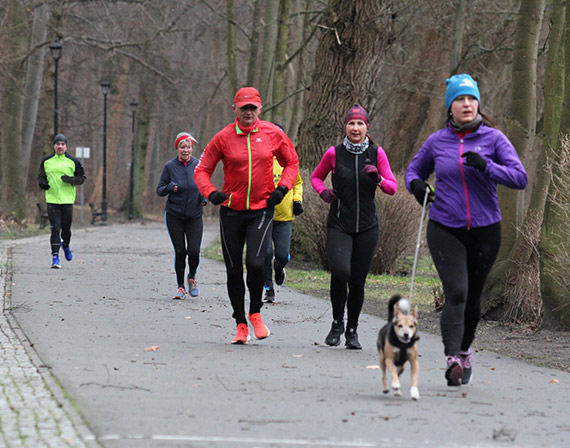 miakowie na trasie 381. parkrun