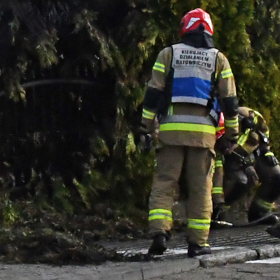 Płonęły krzewy przy ogrodzeniu