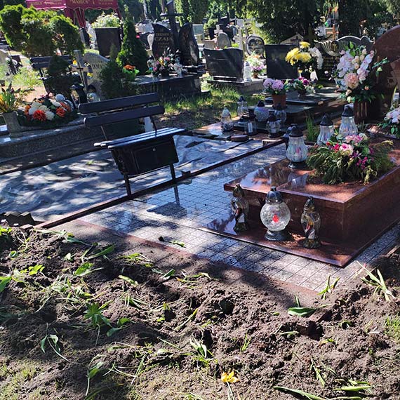 Mieszkanka: Dziki ryją po cmentarzu. Starsi bezsilni, zarząd głuchy