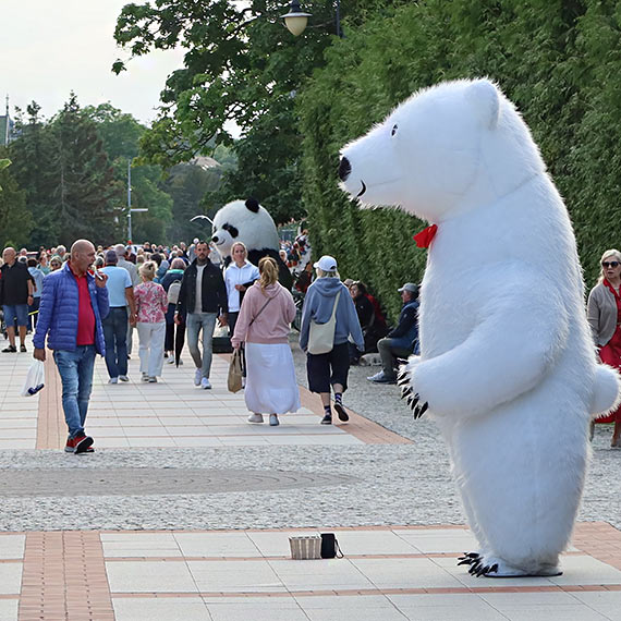 Promenadowe niedwiadki si ceni