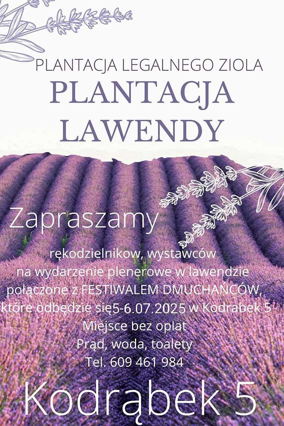  Lawendowe wito w Kodrbku – zapach, kolory i relaks na plantacji!
