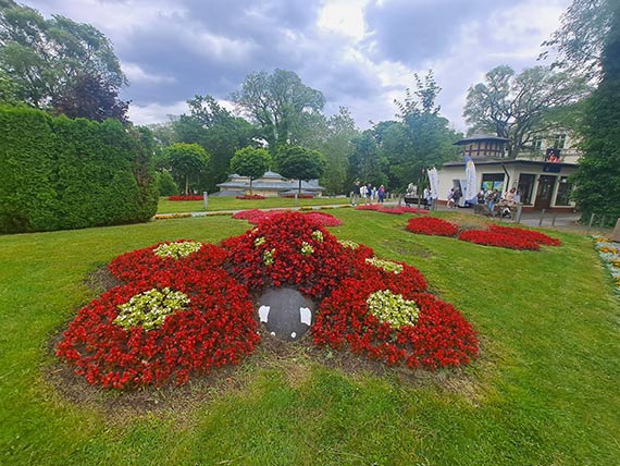 Zielone Międzyzdroje gotowe na lato