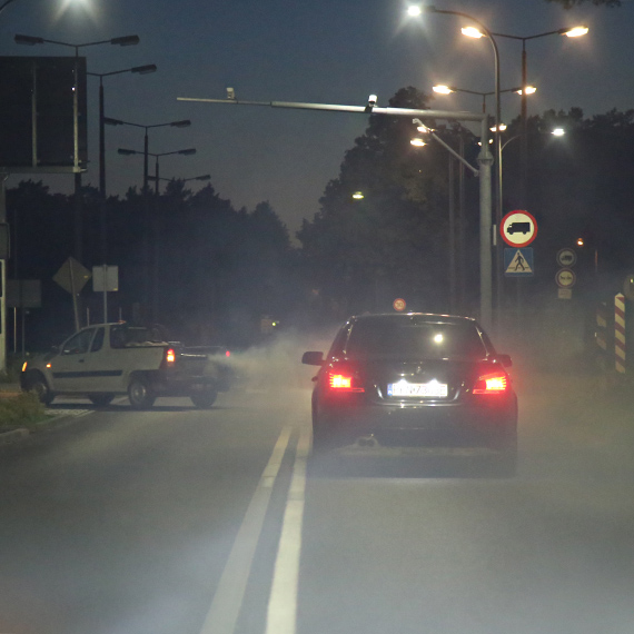 Komary pod kontrol? Miasto publikuje dane o kosztach i metodach odkomarzania
