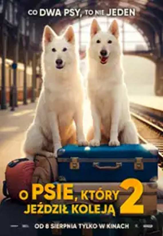 Międzyzdroje: Letni repertuar kinowy: Co warto obejrzeć w sierpniu?