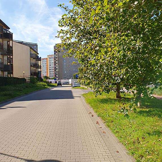winoujcie: Drzewa zasaniaj znaki drogowe na skrzyowaniu Malczewskiego i Chemoskiego