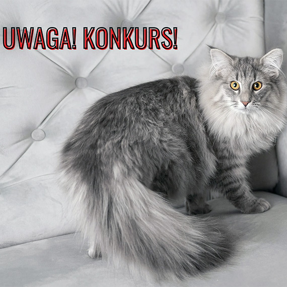 Konkurs fotograficzny „Pochwal si swoim pupilem”. Czekamy na zdjcia!