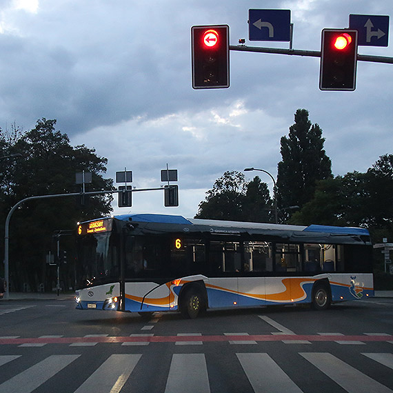 W poniedziaek nie trzeba kasowa biletw. Autobusy za darmo
