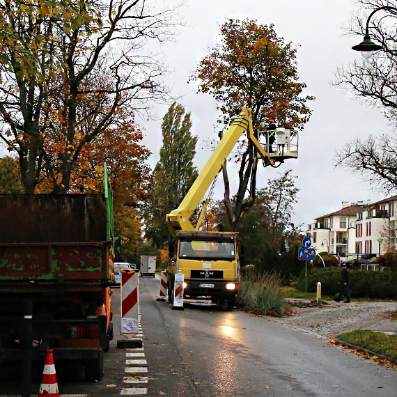 Usunli suche drzewa przy ulicy Uzdrowiskowej. Mieszkaniec: „W kocu kto si za to wzi!”