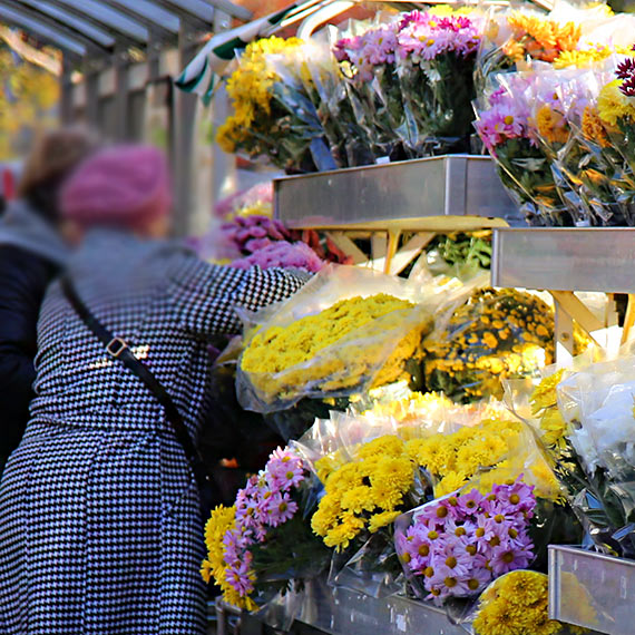 Kwietny symbol pamici drenuje portfele