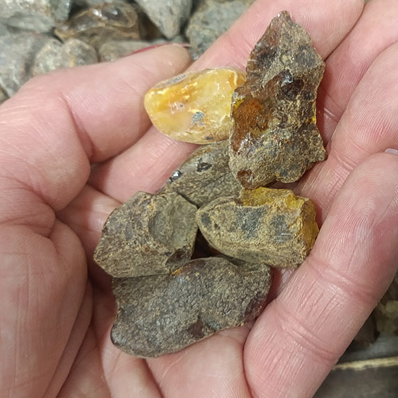 Bursztynowe warsztaty w Muzeum Rybowstwa Morskiego