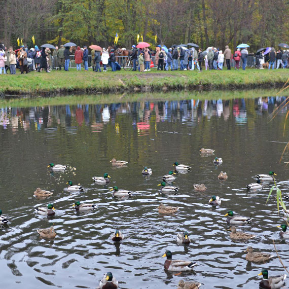 Piknik Niepodległościowy na Basenie Północnym. Konie, fortepian i śpiewy