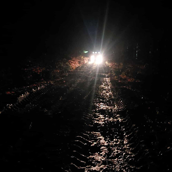 Szybka akcja policjantw uratowaa zagubion w lesie kobiet