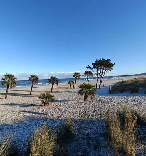 „Czy nie byoby fajnie?” Mieszkaniec proponuje tropikaln wersj play