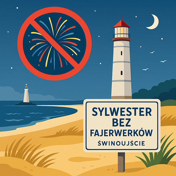  Podsumowanie konsultacji spoecznych dotyczcych uywania fajerwerkw podczas miejskich wydarze