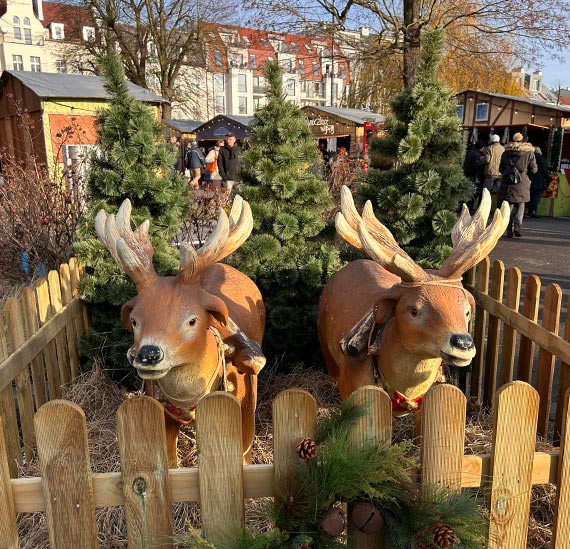 Świąteczny Jarmark na Placu Rybaka. Zagrają Brathanki