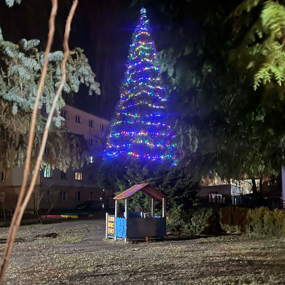 Najwi�ksza choinka w mie�cie? Ukryta mi�dzy blokami przy Monte Cassino