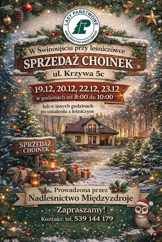 Nowy le�niczy zaprasza po �wie�e choinki. Sprzeda� przy le�nicz�wce w �winouj�ciu