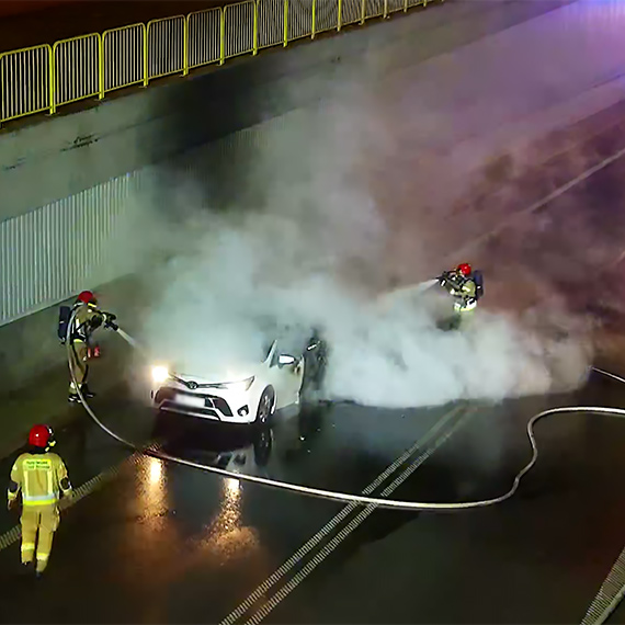 Gdy inni jad� dalej, on si� zatrzyma�. Tak zacz�a si� walka o dobytek. Zobacz film!