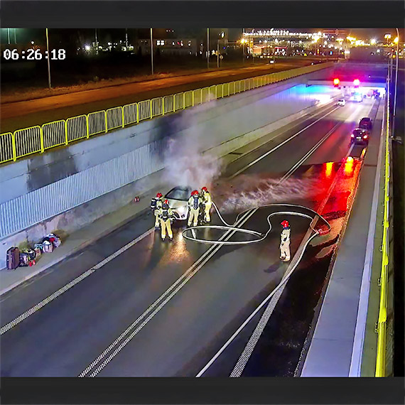 Gdy inni jad� dalej, on si� zatrzyma�. Tak zacz�a si� walka o dobytek. Zobacz film!