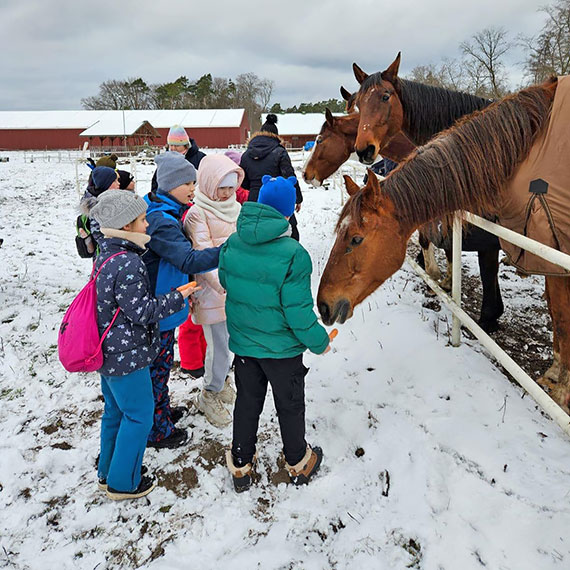 Ostatnia szansa, aby zapisa� dzieci na zimowe p�kolonie